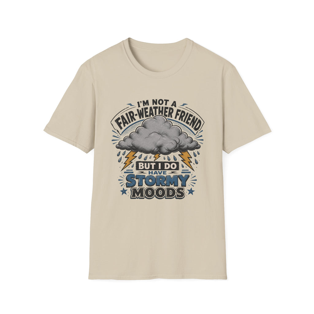 I'm Not A Fair-Weather Friend T-Shirt