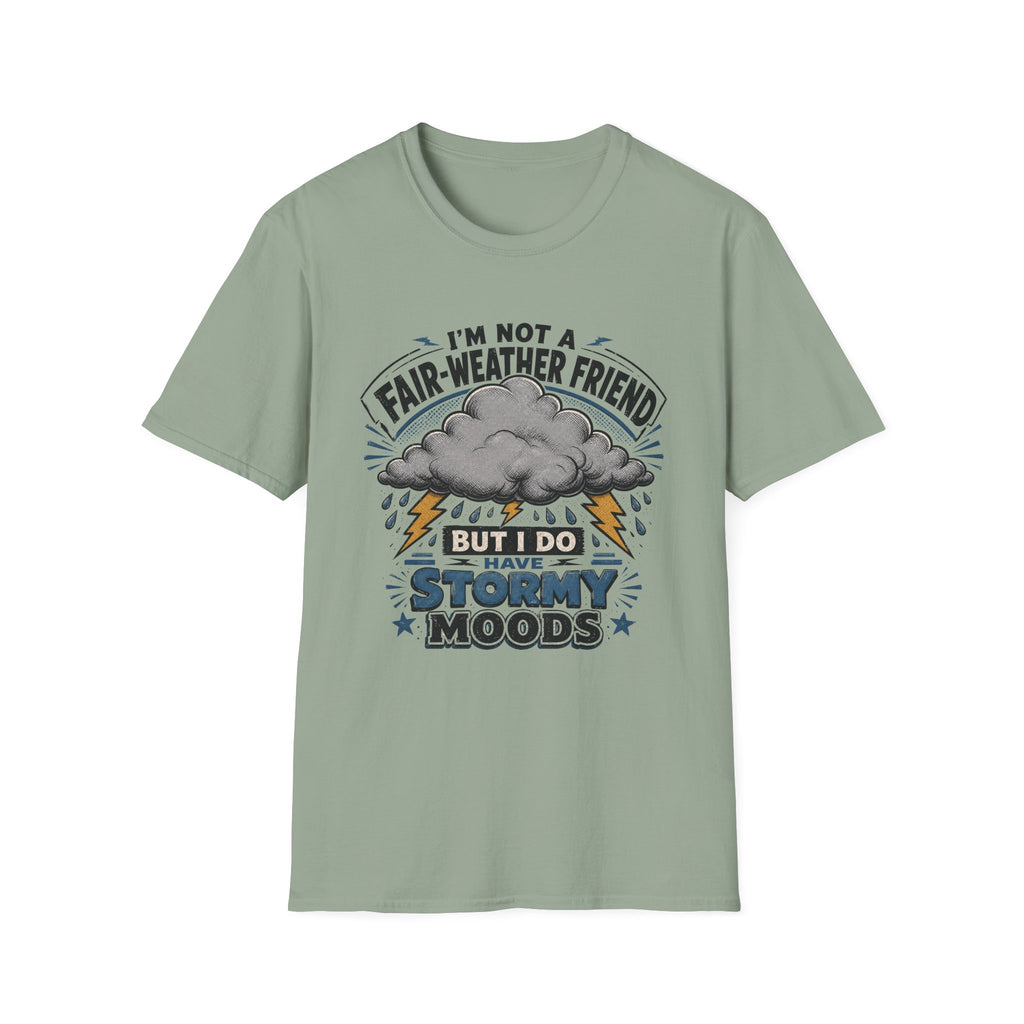 I'm Not A Fair-Weather Friend T-Shirt
