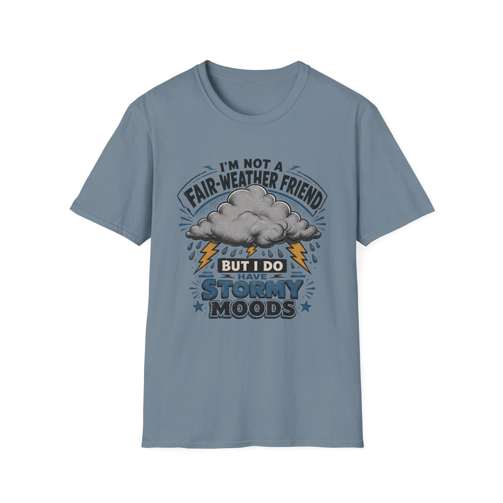 I'm Not A Fair-Weather Friend T-Shirt
