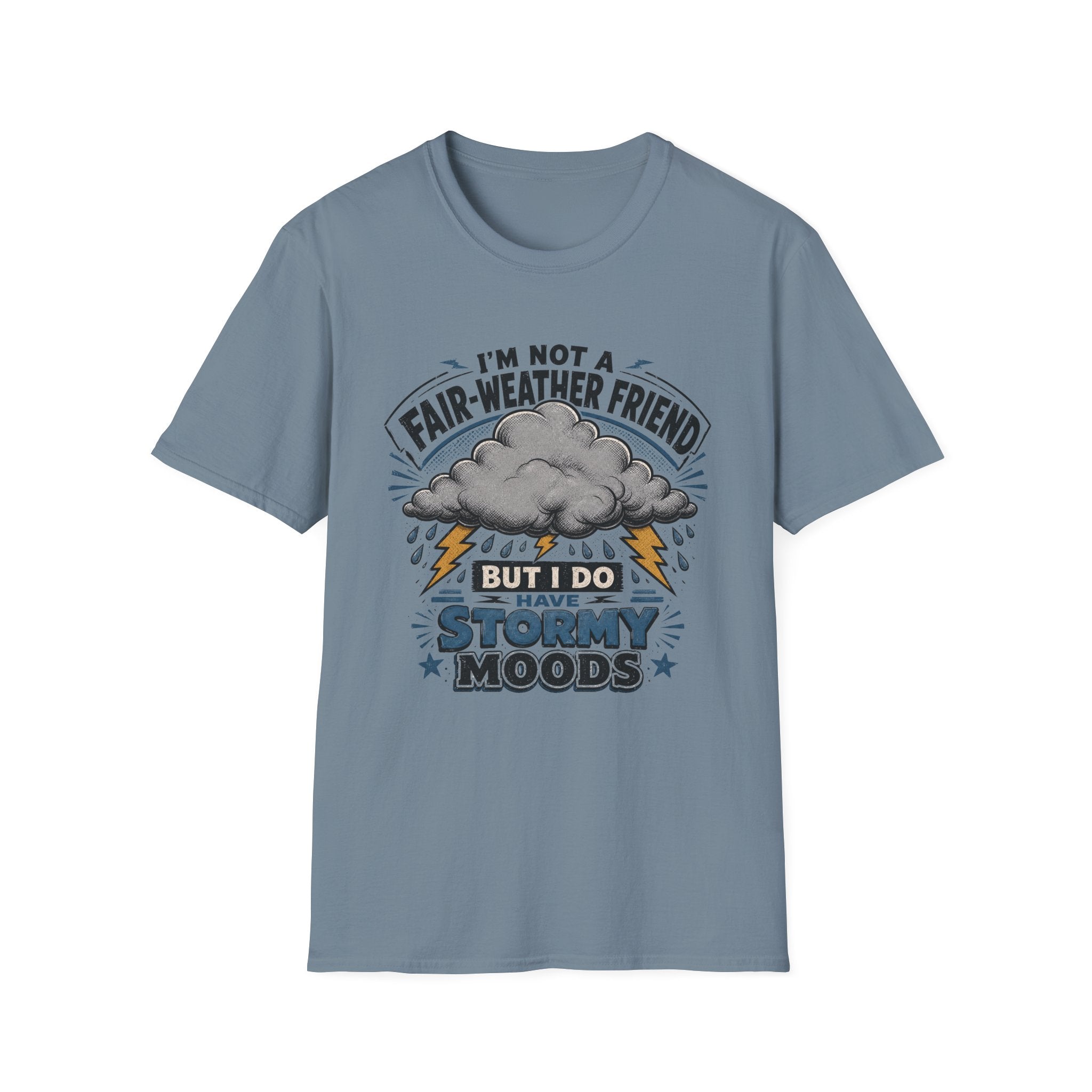 I'm Not A Fair-Weather Friend T-Shirt