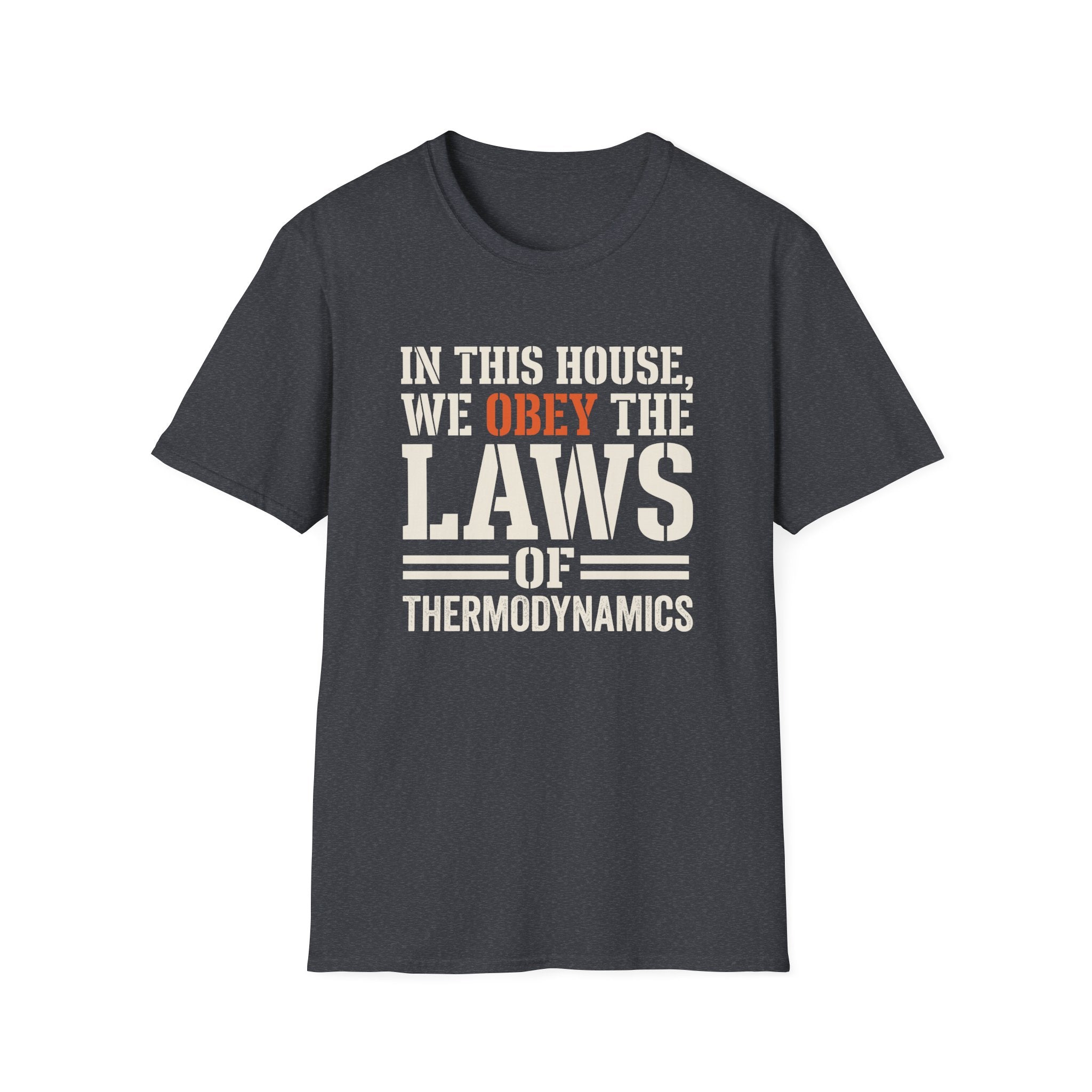 Obey Laws Of Thermodynamics T-Shirt