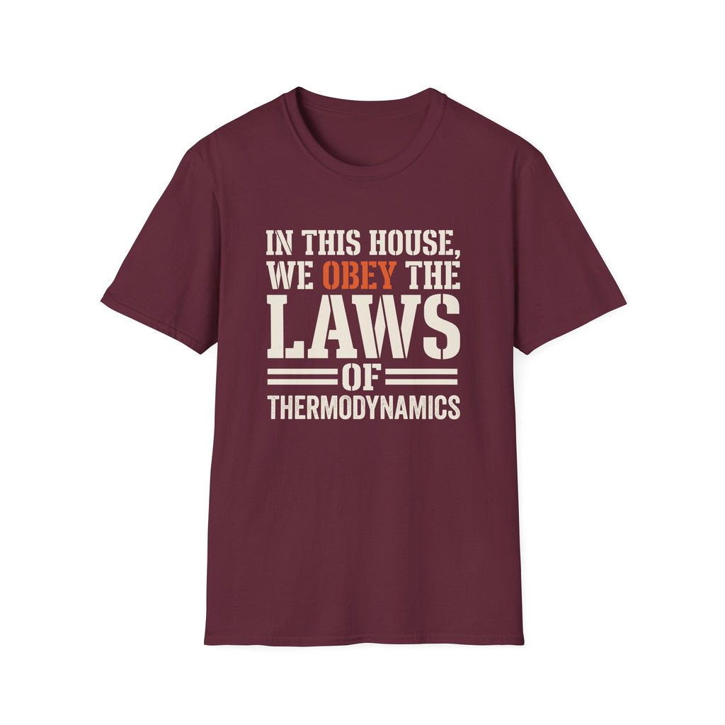 Obey Laws Of Thermodynamics T-Shirt