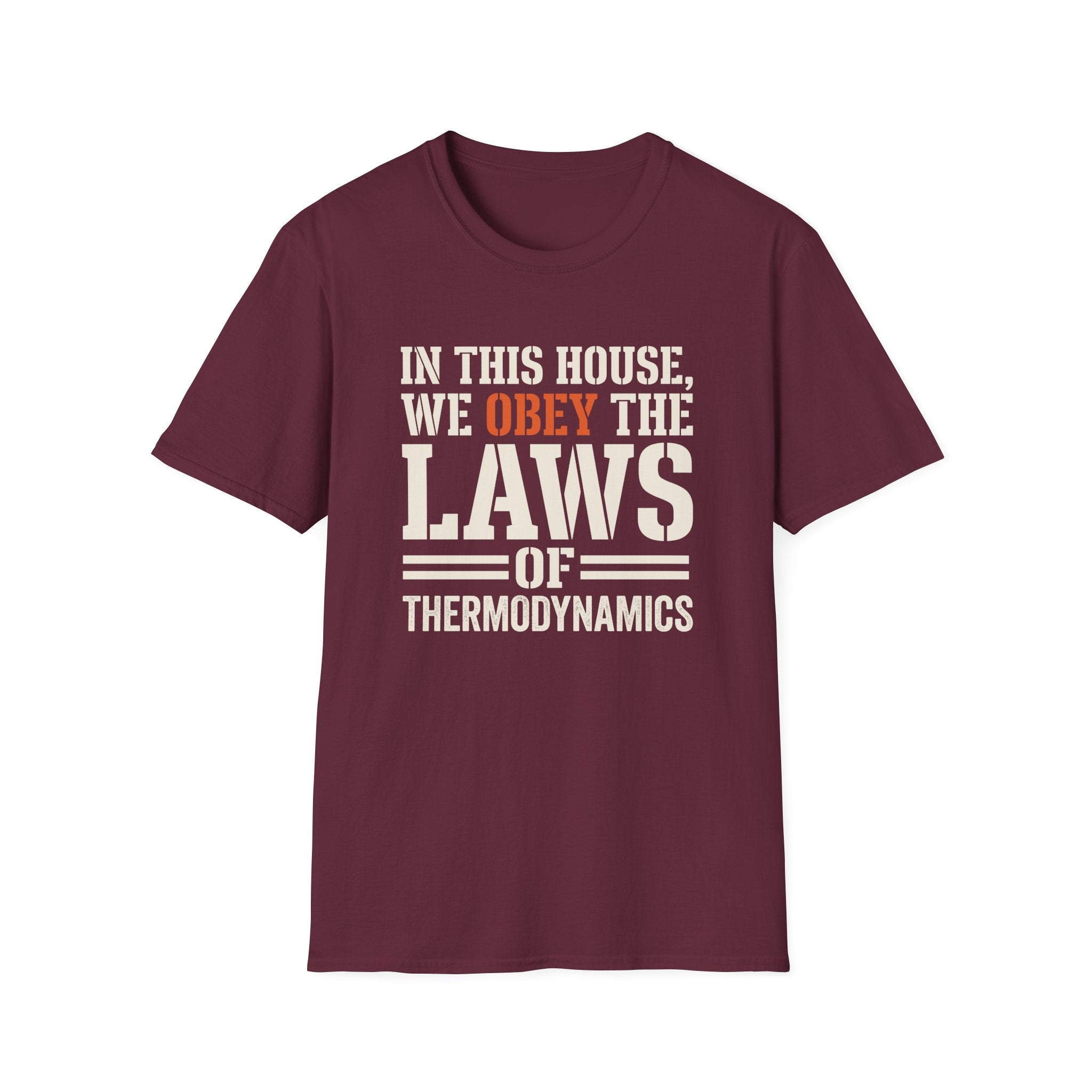 Obey Laws Of Thermodynamics T-Shirt