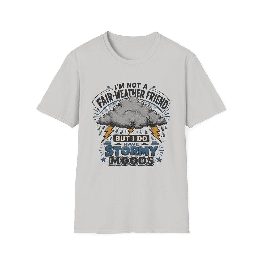 I'm Not A Fair-Weather Friend T-Shirt