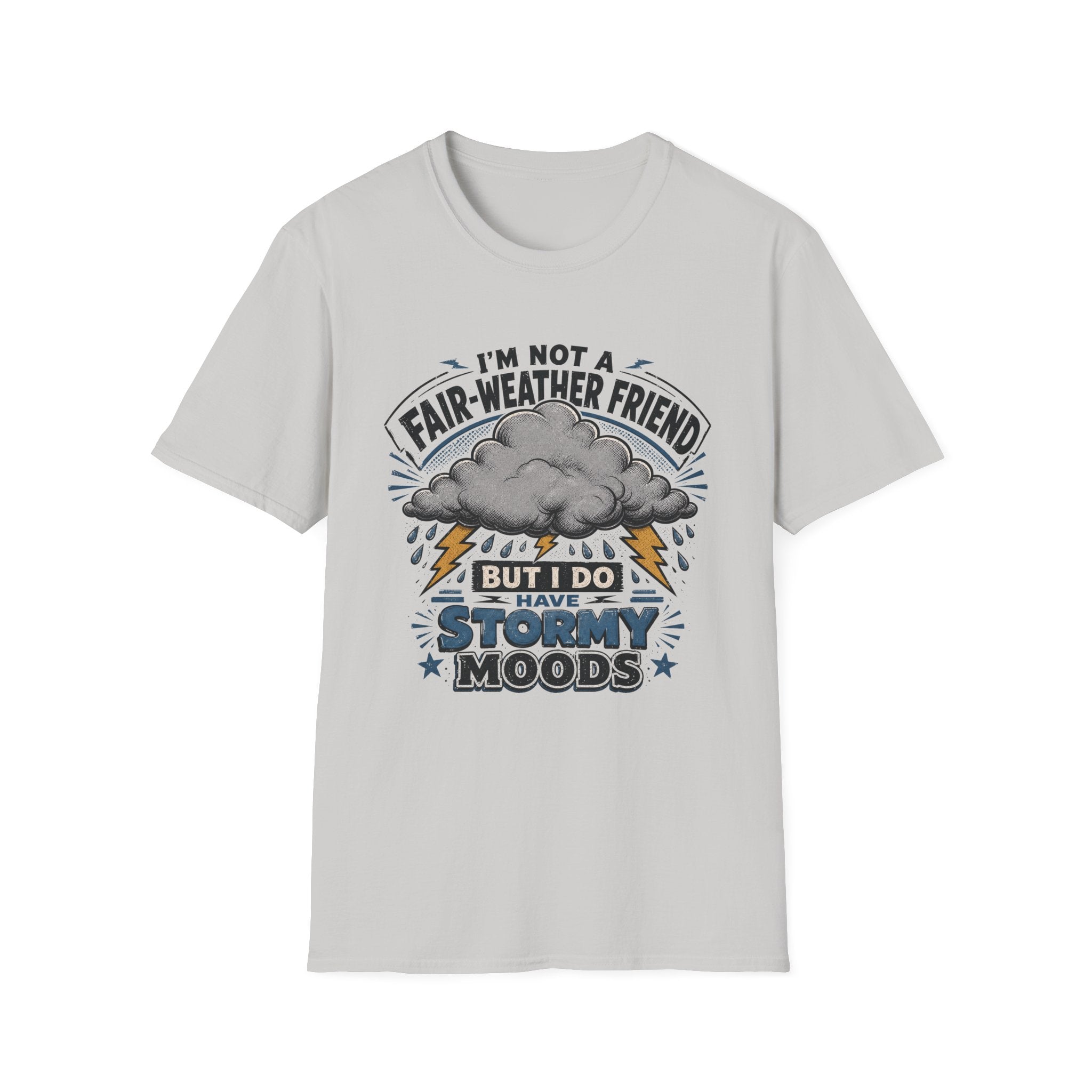 I'm Not A Fair-Weather Friend T-Shirt