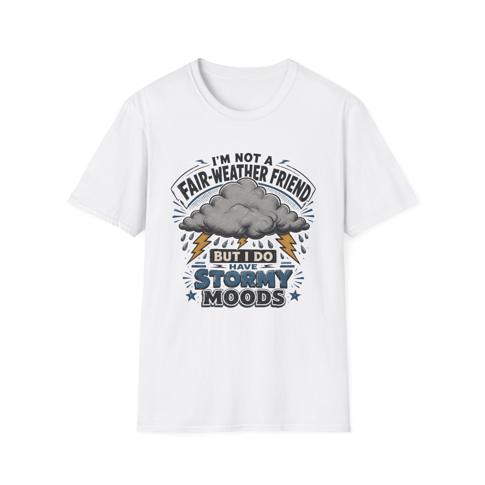 I'm Not A Fair-Weather Friend T-Shirt