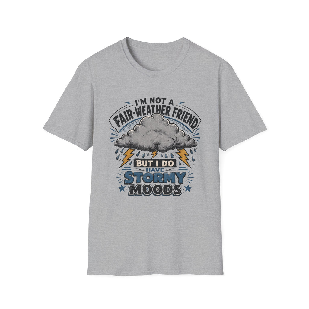 I'm Not A Fair-Weather Friend T-Shirt